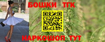 mdpv Заводоуковск